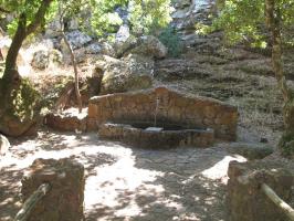 arbuda-270609 (24).html